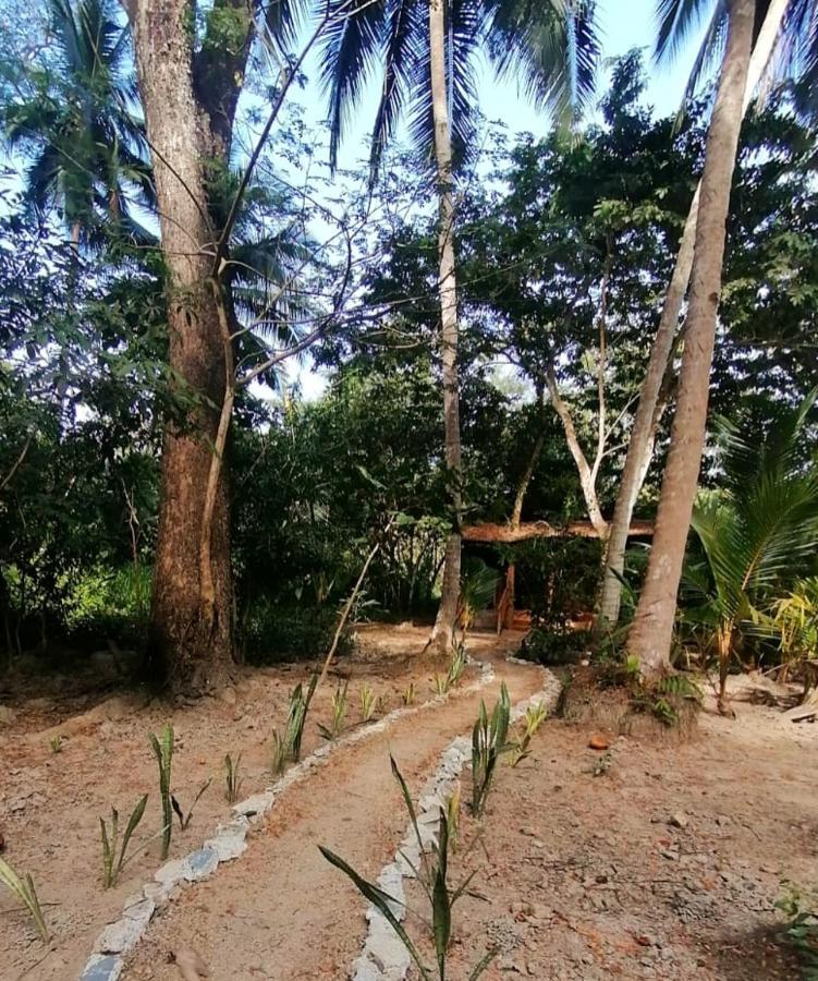 Jungle Tent 3x3, Latino Glamping&Tours, Paquera Exterior foto