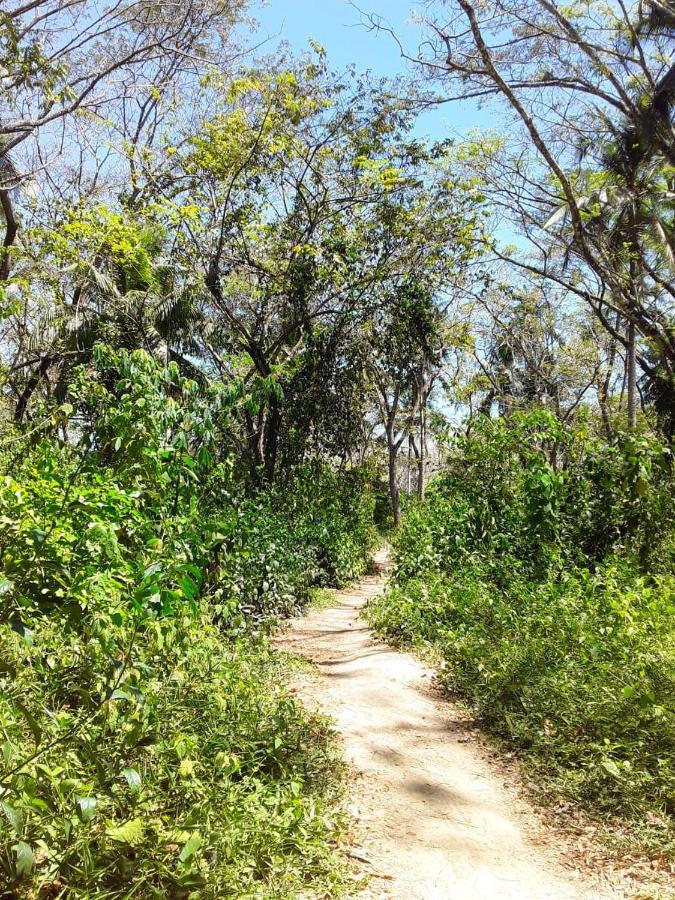 Jungle Tent 3x3, Latino Glamping&Tours, Paquera Exterior foto