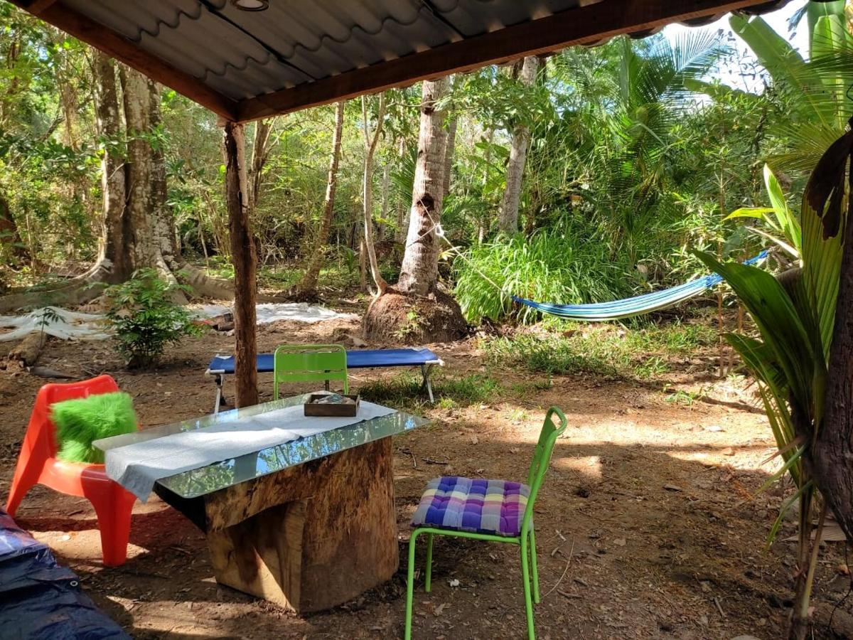 Jungle Tent 3x3, Latino Glamping&Tours, Paquera Exterior foto