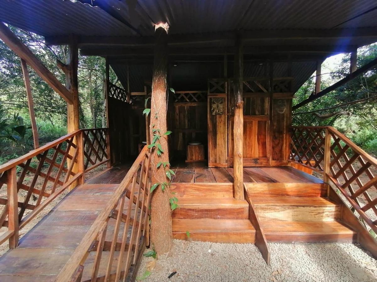 Jungle Tent 3x3, Latino Glamping&Tours, Paquera Exterior foto