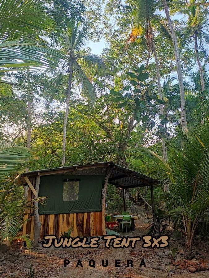 Jungle Tent 3x3, Latino Glamping&Tours, Paquera Exterior foto