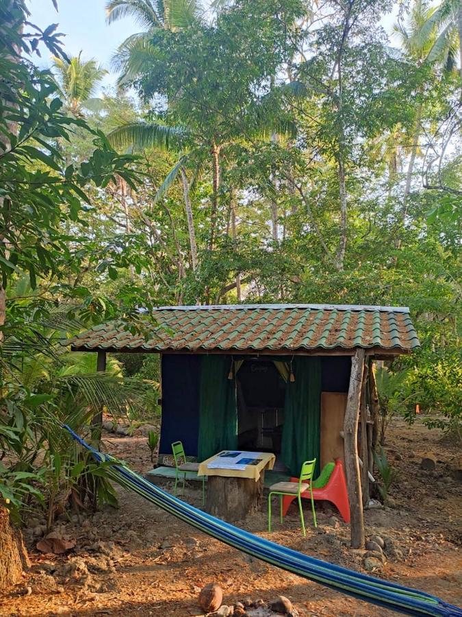 Jungle Tent 3x3, Latino Glamping&Tours, Paquera Exterior foto