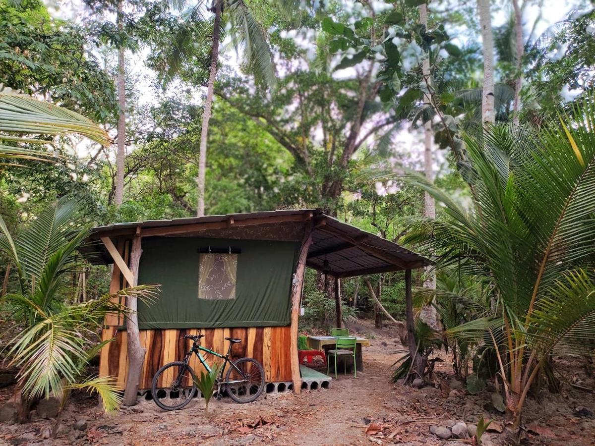 Jungle Tent 3x3, Latino Glamping&Tours, Paquera Exterior foto