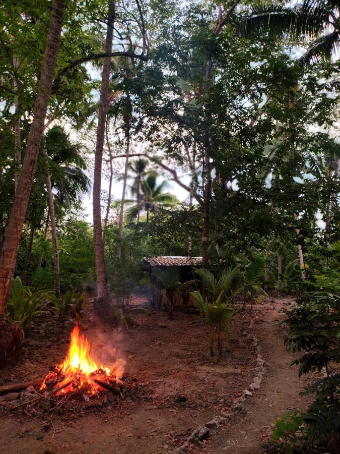 Jungle Tent 3x3, Latino Glamping&Tours, Paquera Exterior foto