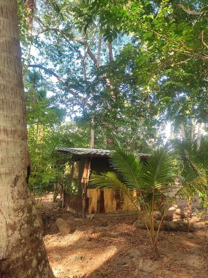 Jungle Tent 3x3, Latino Glamping&Tours, Paquera Exterior foto