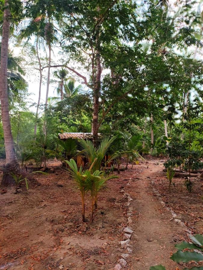 Jungle Tent 3x3, Latino Glamping&Tours, Paquera Exterior foto