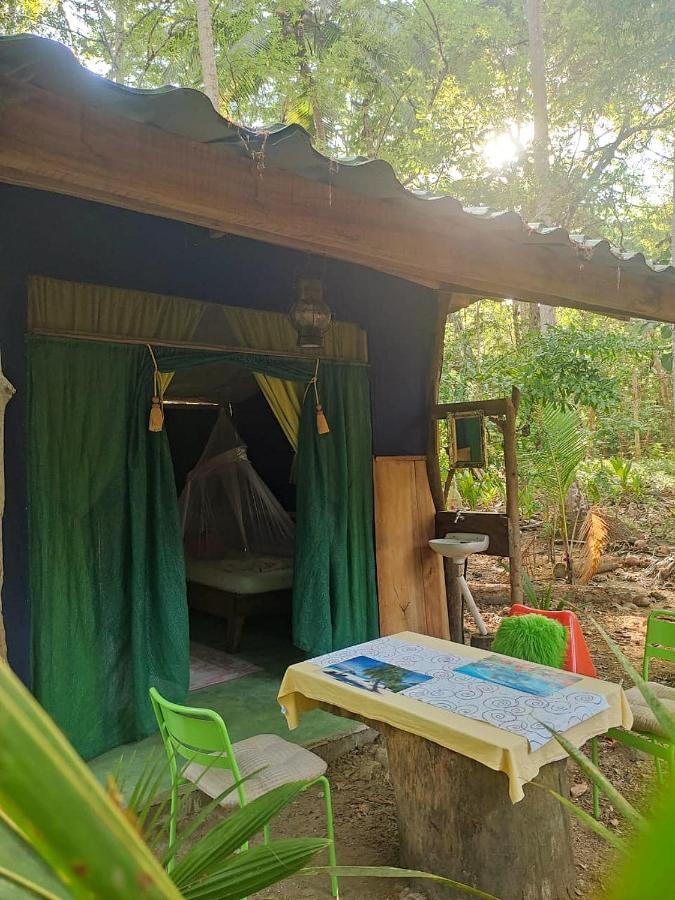 Jungle Tent 3x3, Latino Glamping&Tours, Paquera Exterior foto