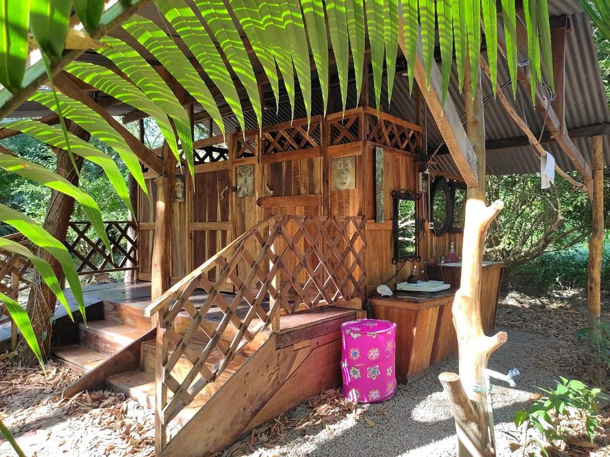 Jungle Tent 3x3, Latino Glamping&Tours, Paquera Exterior foto
