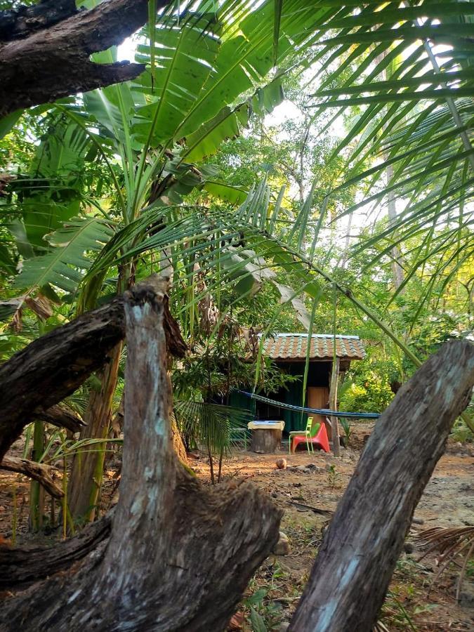 Jungle Tent 3x3, Latino Glamping&Tours, Paquera Exterior foto